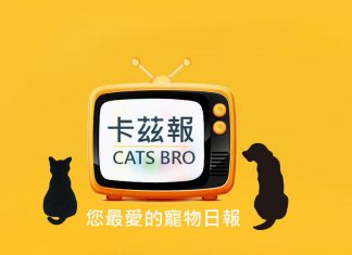 公告: 卡茲報-您最愛的寵物日報即日將同步分享於Tweeter歡迎追蹤訂閱 卡茲報