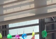 「有時候真的滿羨慕她的」主人拍下貓咪在吊床上曬太陽的午後⋯這句話戳中一堆上班族 「有時候真的滿羨慕她的」主人拍下貓咪在吊床上曬太陽的午後⋯這句話戳中一堆上班族