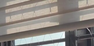 「有時候真的滿羨慕她的」主人拍下貓咪在吊床上曬太陽的午後⋯這句話戳中一堆上班族 「有時候真的滿羨慕她的」主人拍下貓咪在吊床上曬太陽的午後⋯這句話戳中一堆上班族