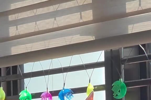 「有時候真的滿羨慕她的」主人拍下貓咪在吊床上曬太陽的午後⋯這句話戳中一堆上班族 「有時候真的滿羨慕她的」主人拍下貓咪在吊床上曬太陽的午後⋯這句話戳中一堆上班族