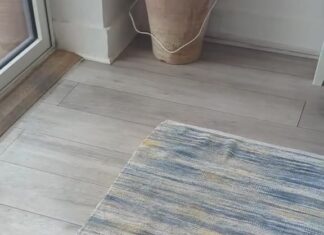 為什麼貓總愛攤在地毯上、而不是你買的那個貓窩?答案有點傷人 為什麼貓總愛攤在地毯上、而不是你買的那個貓窩?答案有點傷人