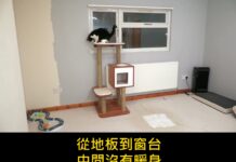「牠又開始了」貓咪在空房間狂奔的監視器畫面,每個養貓的人都認得這個聲音 「牠又開始了」貓咪在空房間狂奔的監視器畫面,每個養貓的人都認得這個聲音