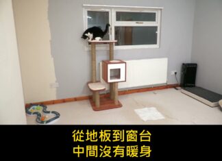 「牠又開始了」貓咪在空房間狂奔的監視器畫面,每個養貓的人都認得這個聲音 「牠又開始了」貓咪在空房間狂奔的監視器畫面,每個養貓的人都認得這個聲音