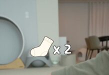 「x2、x17、x28」主人把襪子一雙雙堆在貓身上,牠的反應讓網友吵了起來 「x2、x17、x28」主人把襪子一雙雙堆在貓身上,牠的反應讓網友吵了起來