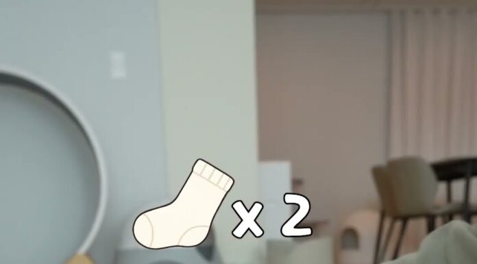 「x2、x17、x28」主人把襪子一雙雙堆在貓身上,牠的反應讓網友吵了起來 「x2、x17、x28」主人把襪子一雙雙堆在貓身上,牠的反應讓網友吵了起來