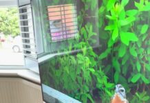 「電視上出現一隻鳥」三隻貓瞬間排排站的畫面,笑完請去檢查一件事 「電視上出現一隻鳥」三隻貓瞬間排排站的畫面,笑完請去檢查一件事