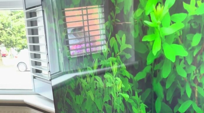 「電視上出現一隻鳥」三隻貓瞬間排排站的畫面,笑完請去檢查一件事 「電視上出現一隻鳥」三隻貓瞬間排排站的畫面,笑完請去檢查一件事