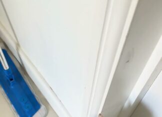 「那隻橘白色的看起來不太歡迎人」在外面遇到不認識的貓,先看牠的耳朵 「那隻橘白色的看起來不太歡迎人」在外面遇到不認識的貓,先看牠的耳朵