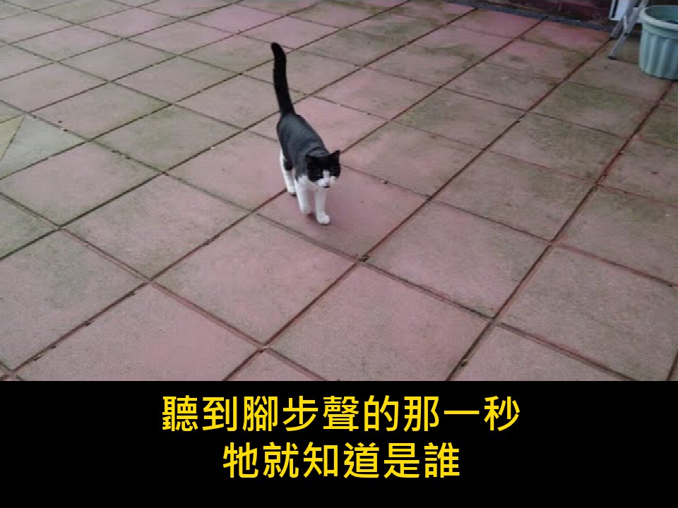 影片封面