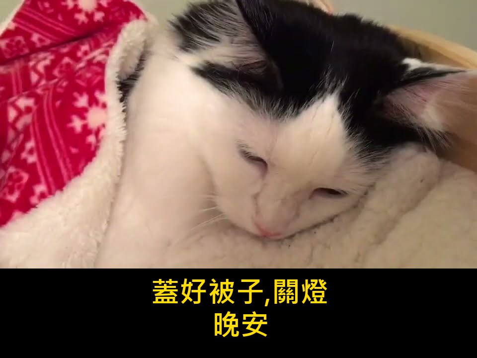 影片封面