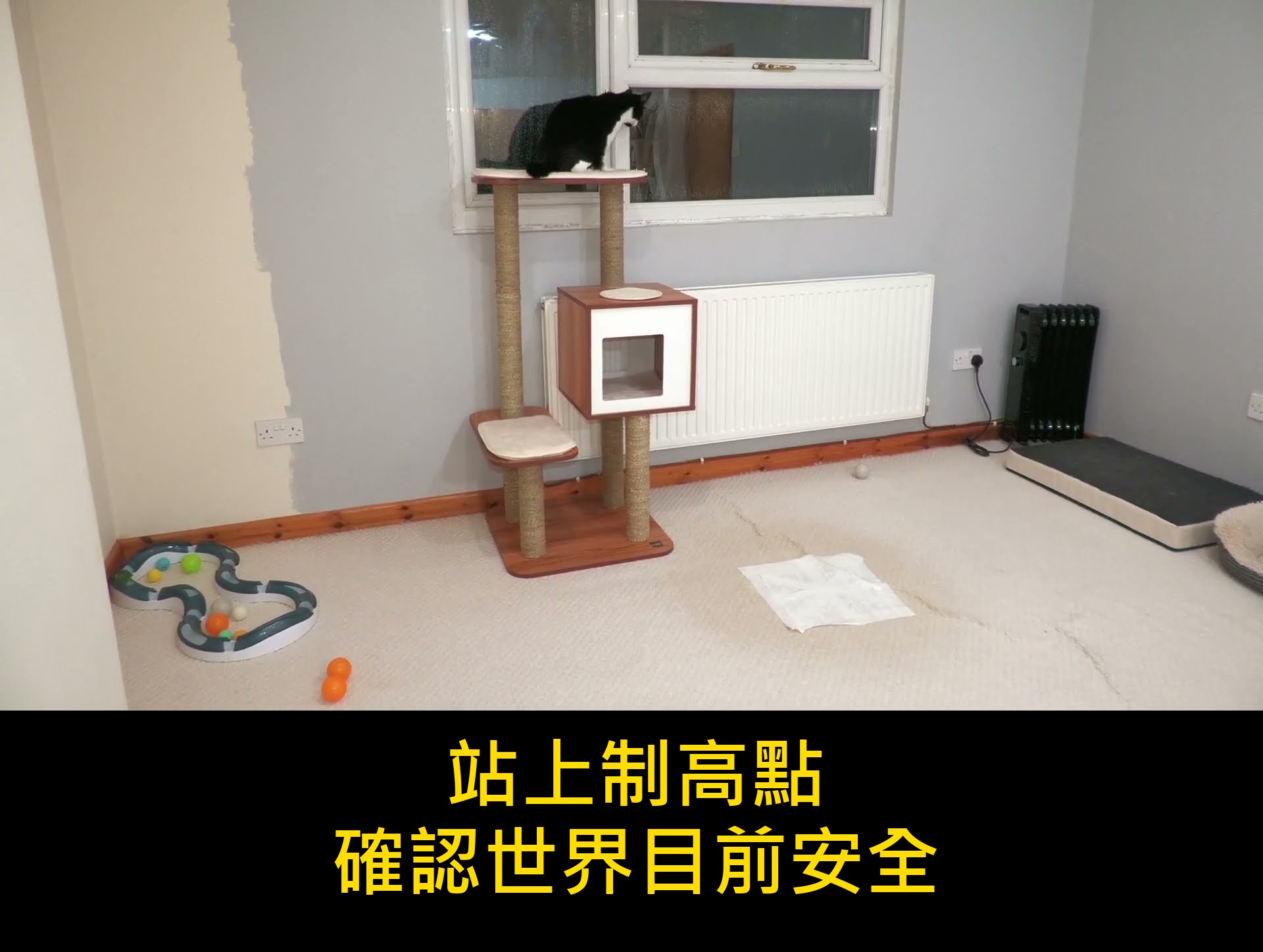影片封面