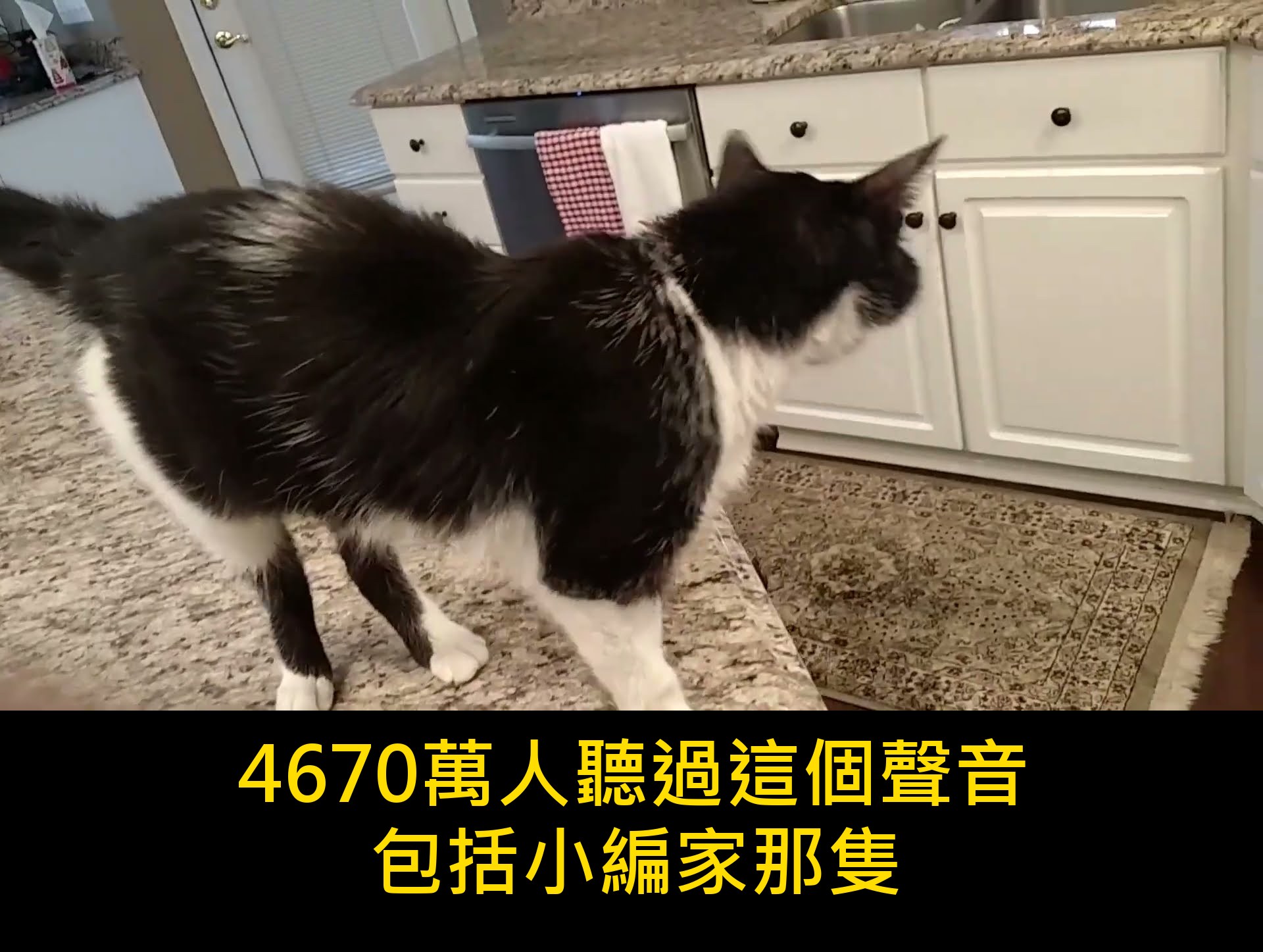 影片封面