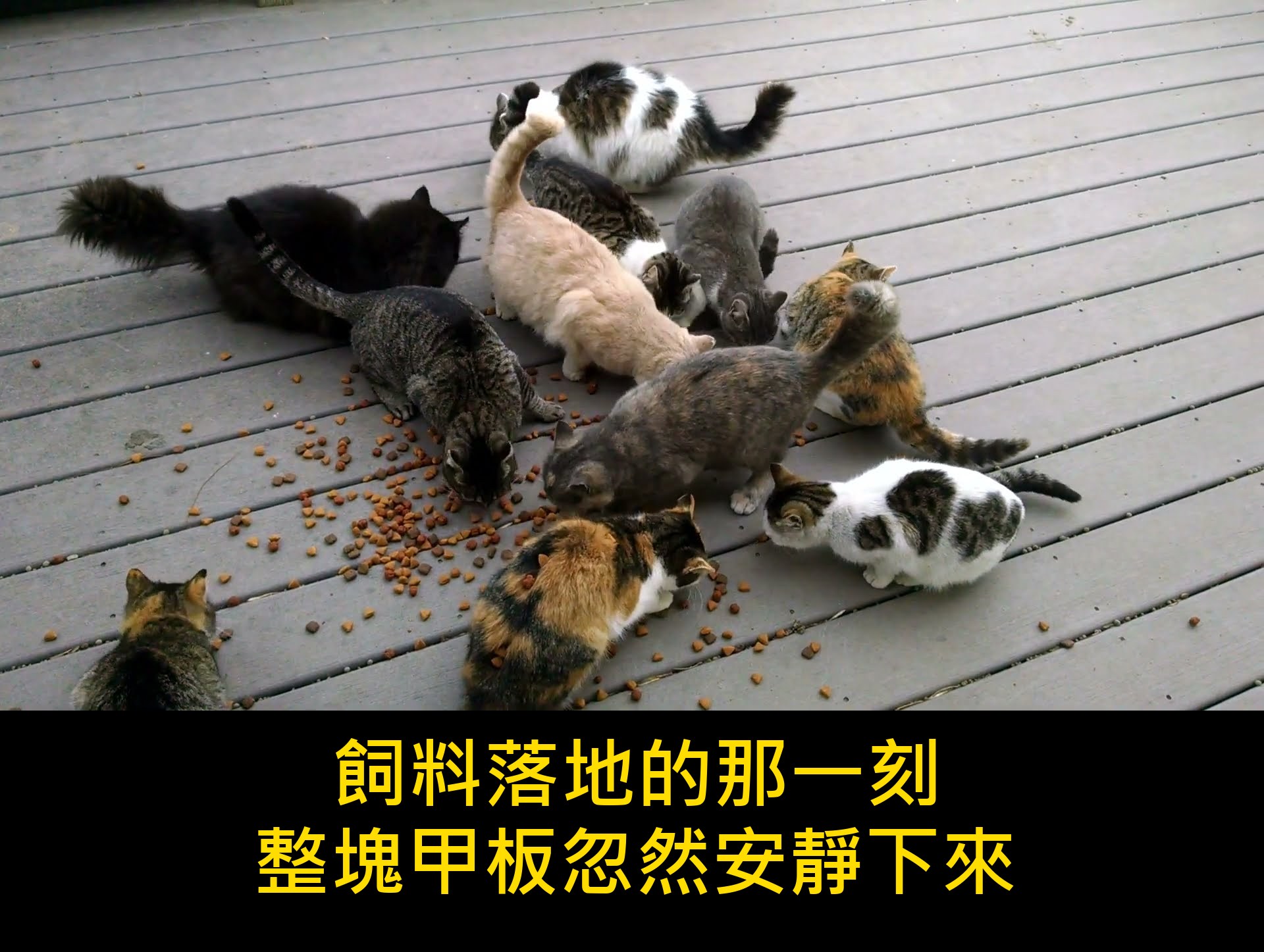 影片封面
