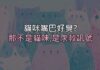 貓咪嘴巴好臭?那不是「貓味」,是牙齒在跟你求救 貓咪嘴巴好臭?那不是「貓味」,是牙齒在跟你求救