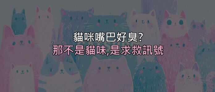 貓咪嘴巴好臭?那不是「貓味」,是牙齒在跟你求救