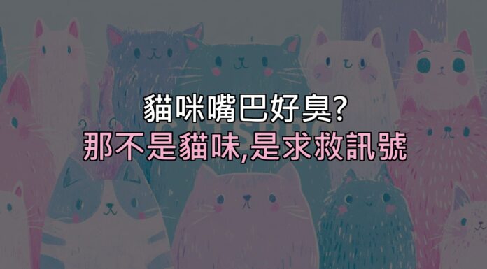 貓咪嘴巴好臭?那不是「貓味」,是牙齒在跟你求救 貓咪嘴巴好臭?那不是「貓味」,是牙齒在跟你求救
