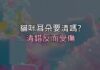 貓咪耳朵髒髒的要清嗎?清錯反而受傷,正確做法看這篇 貓咪耳朵髒髒的要清嗎?清錯反而受傷,正確做法看這篇