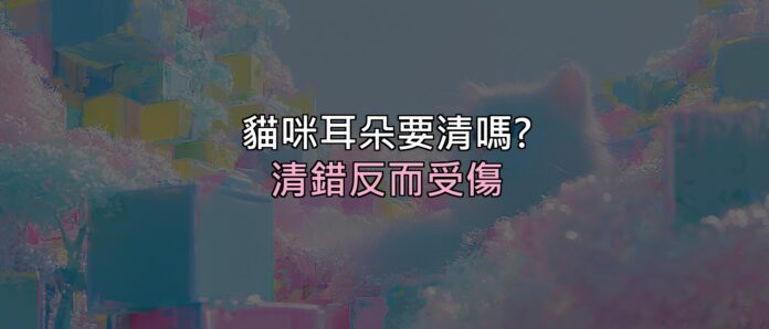 貓咪耳朵髒髒的要清嗎?清錯反而受傷,正確做法看這篇