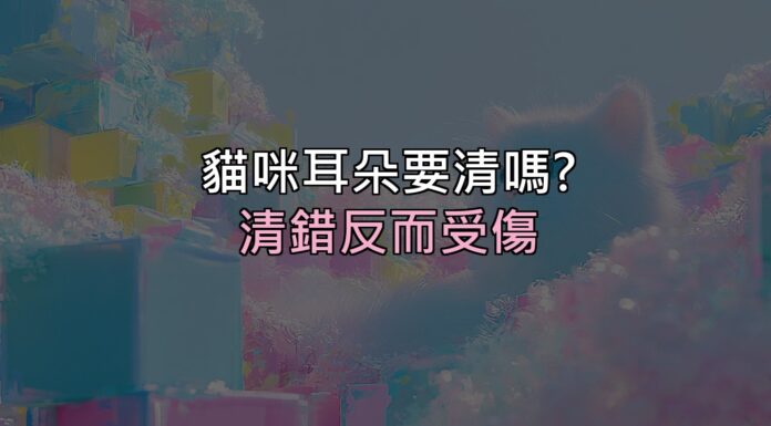 貓咪耳朵髒髒的要清嗎?清錯反而受傷,正確做法看這篇 貓咪耳朵髒髒的要清嗎?清錯反而受傷,正確做法看這篇