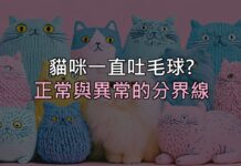 貓咪一直乾嘔吐毛球?先分清楚「正常」和「該看醫生」的差別 貓咪一直乾嘔吐毛球?先分清楚「正常」和「該看醫生」的差別