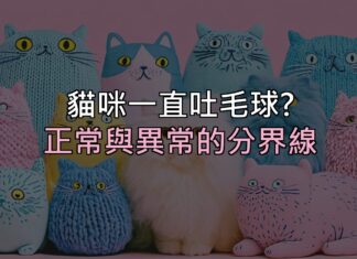 貓咪一直乾嘔吐毛球?先分清楚「正常」和「該看醫生」的差別 貓咪一直乾嘔吐毛球?先分清楚「正常」和「該看醫生」的差別