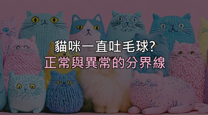 貓咪一直乾嘔吐毛球?先分清楚「正常」和「該看醫生」的差別 貓咪一直乾嘔吐毛球?先分清楚「正常」和「該看醫生」的差別