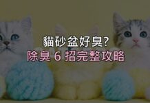 貓砂盆一走近就想閉氣?除臭 6 招搞定,關鍵不是「蓋味道」而是這件事 貓砂盆一走近就想閉氣?除臭 6 招搞定,關鍵不是「蓋味道」而是這件事