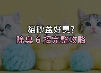 貓砂盆一走近就想閉氣?除臭 6 招搞定,關鍵不是「蓋味道」而是這件事 貓砂盆一走近就想閉氣?除臭 6 招搞定,關鍵不是「蓋味道」而是這件事