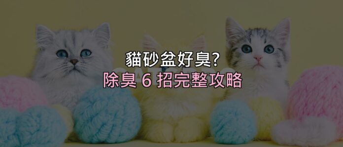 貓砂盆一走近就想閉氣?除臭 6 招搞定,關鍵不是「蓋味道」而是這件事 封面 貓砂盆一走近就想閉氣?除臭 6 招搞定,關鍵不是「蓋味道」而是這件事