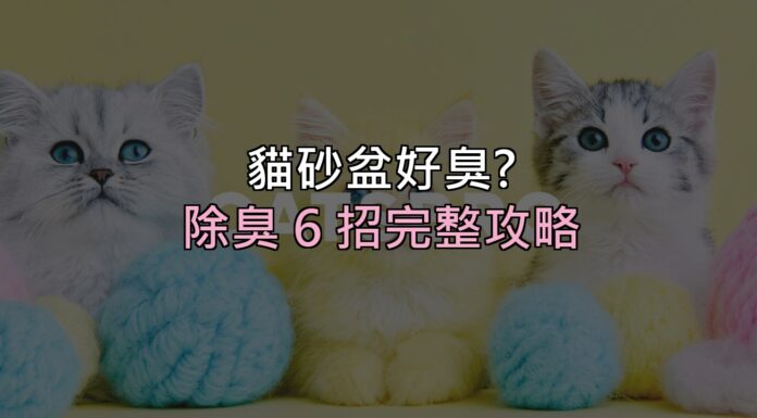 貓砂盆一走近就想閉氣?除臭 6 招搞定,關鍵不是「蓋味道」而是這件事 貓砂盆一走近就想閉氣?除臭 6 招搞定,關鍵不是「蓋味道」而是這件事