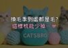 換毛季家裡到處都是毛?這樣梳,能少掉一半 換毛季家裡到處都是毛?這樣梳,能少掉一半