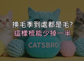 換毛季家裡到處都是毛?這樣梳,能少掉一半 換毛季家裡到處都是毛?這樣梳,能少掉一半