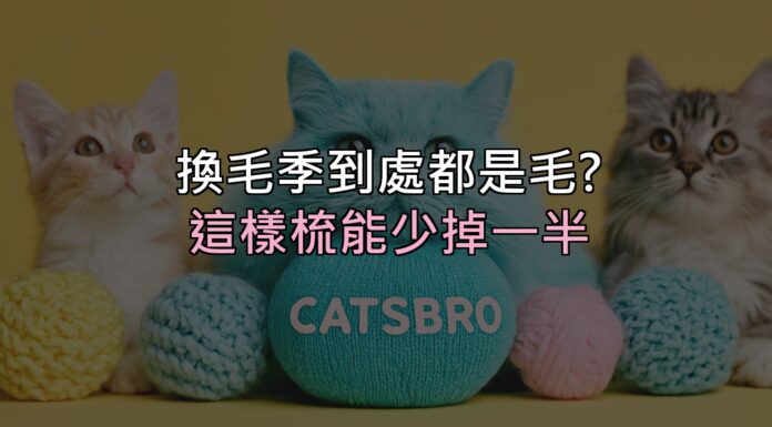 換毛季家裡到處都是毛?這樣梳,能少掉一半 換毛季家裡到處都是毛?這樣梳,能少掉一半