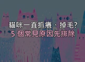 貓咪一直抓癢、掉毛?先別急著買藥,這 5 個常見原因要先排除 貓咪一直抓癢、掉毛?先別急著買藥,這 5 個常見原因要先排除