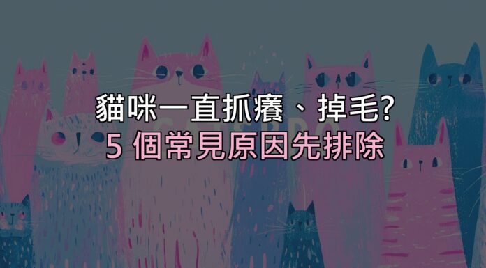 貓咪一直抓癢、掉毛?先別急著買藥,這 5 個常見原因要先排除 貓咪一直抓癢、掉毛?先別急著買藥,這 5 個常見原因要先排除