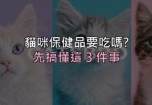 貓咪保健品到底要不要吃?先搞懂這 3 件事,再決定花不花這筆錢 貓咪保健品到底要不要吃?先搞懂這 3 件事,再決定花不花這筆錢