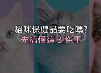貓咪保健品到底要不要吃?先搞懂這 3 件事,再決定花不花這筆錢 貓咪保健品到底要不要吃?先搞懂這 3 件事,再決定花不花這筆錢