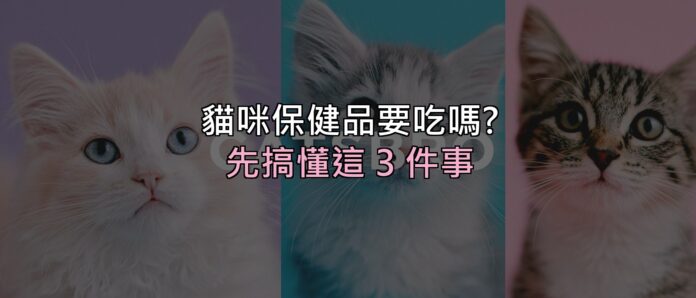 貓咪保健品到底要不要吃?先搞懂這 3 件事,再決定花不花這筆錢