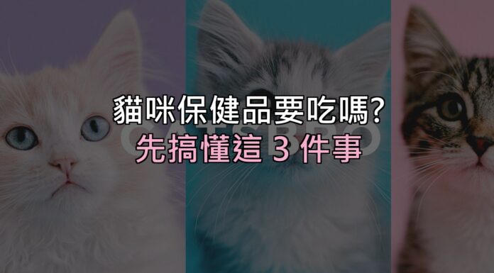 貓咪保健品到底要不要吃?先搞懂這 3 件事,再決定花不花這筆錢 貓咪保健品到底要不要吃?先搞懂這 3 件事,再決定花不花這筆錢