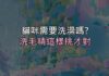 貓咪到底需不需要洗澡?答案跟你想的不一樣,洗毛精這樣挑才對 貓咪到底需不需要洗澡?答案跟你想的不一樣,洗毛精這樣挑才對