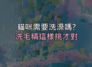 貓咪到底需不需要洗澡?答案跟你想的不一樣,洗毛精這樣挑才對 貓咪到底需不需要洗澡?答案跟你想的不一樣,洗毛精這樣挑才對