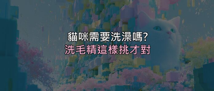 貓咪到底需不需要洗澡?答案跟你想的不一樣,洗毛精這樣挑才對