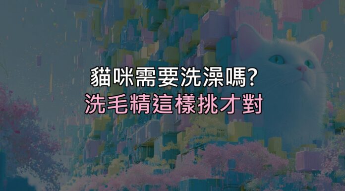 貓咪到底需不需要洗澡?答案跟你想的不一樣,洗毛精這樣挑才對 貓咪到底需不需要洗澡?答案跟你想的不一樣,洗毛精這樣挑才對