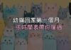 幼貓接回家的第一個月:一張時間表,帶你度過最容易慌的 30 天 幼貓接回家的第一個月:一張時間表,帶你度過最容易慌的 30 天