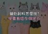 貓乾飼料怎麼挑?別再看包裝上的形容詞,學會看這 5 個地方 貓乾飼料怎麼挑?別再看包裝上的形容詞,學會看這 5 個地方