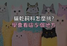 貓乾飼料怎麼挑?別再看包裝上的形容詞,學會看這 5 個地方 貓乾飼料怎麼挑?別再看包裝上的形容詞,學會看這 5 個地方