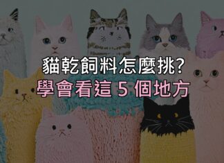 貓乾飼料怎麼挑?別再看包裝上的形容詞,學會看這 5 個地方 貓乾飼料怎麼挑?別再看包裝上的形容詞,學會看這 5 個地方