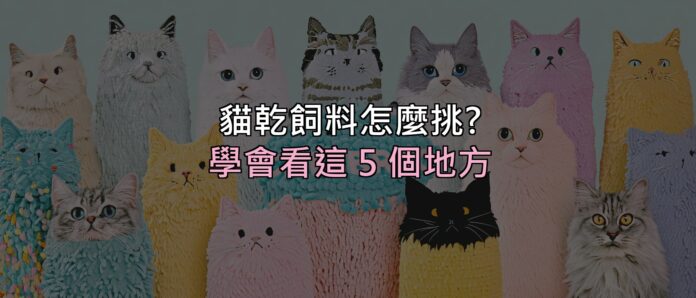 貓乾飼料怎麼挑?別再看包裝上的形容詞,學會看這 5 個地方