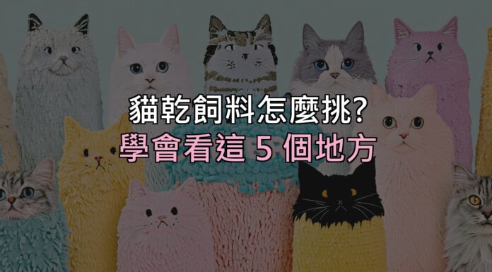 貓乾飼料怎麼挑?別再看包裝上的形容詞,學會看這 5 個地方 貓乾飼料怎麼挑?別再看包裝上的形容詞,學會看這 5 個地方