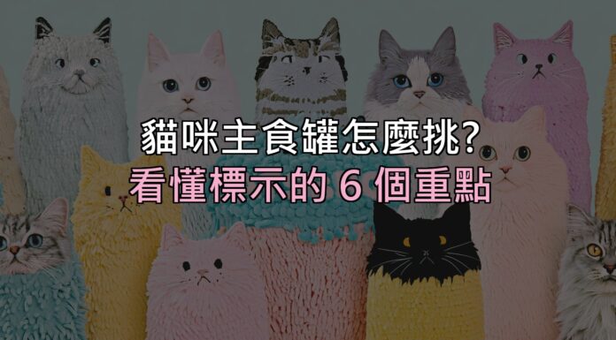 貓咪主食罐怎麼挑?看懂標示的 6 個重點,別再只看「無穀」兩個字 貓咪主食罐怎麼挑?看懂標示的 6 個重點,別再只看「無穀」兩個字